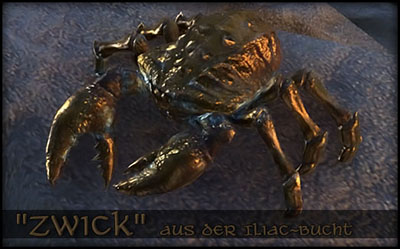 krabben02.jpg
